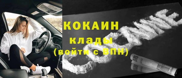 твердый Алексеевка