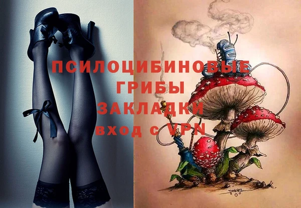 индика Новозыбков