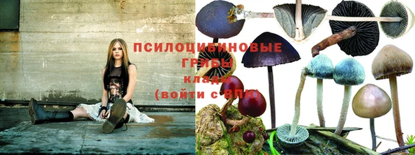прущая мука Алзамай