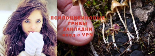 прущая мука Алзамай